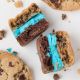 Cookie Monster
